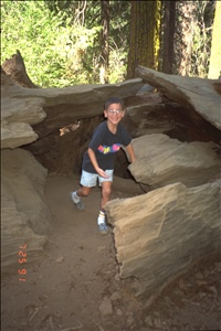 9400 0654 wdc yosemite ca hiImg0017.jpg